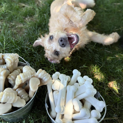 Original Bone Power Chew Toys for Dogs, Durable & Tough Dog Toys for Aggressive Chewers,Asted Blast Bacon & Chicken Flavor, Medium - up to 35 Lbs, 1 Count