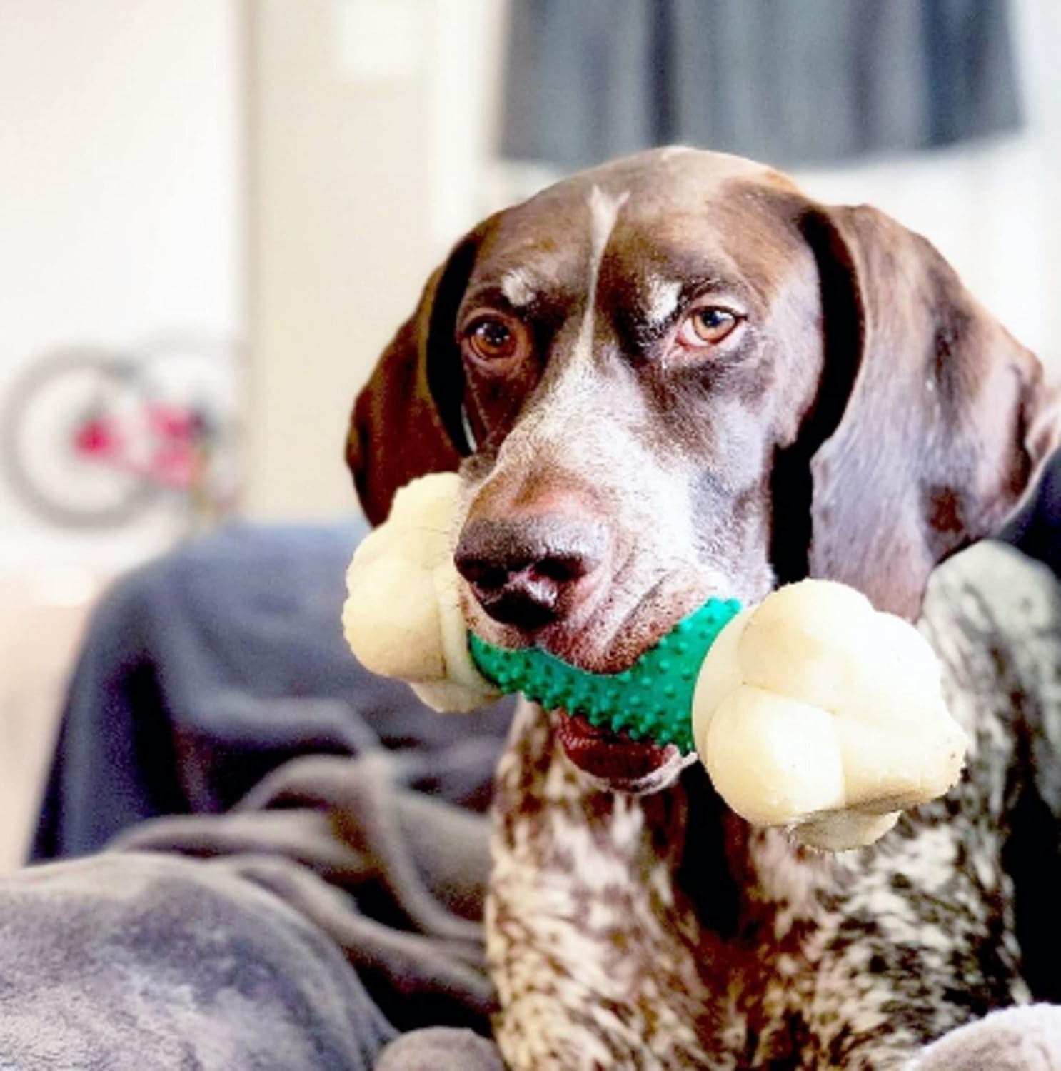 Double Action Bone Power Chew Toy for Dogs, Dog Toys for Aggressive Chewers, Bacon Flavor, X-Large - 50+ Lbs, 1 Count